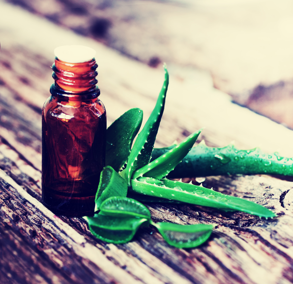 aloe (5)