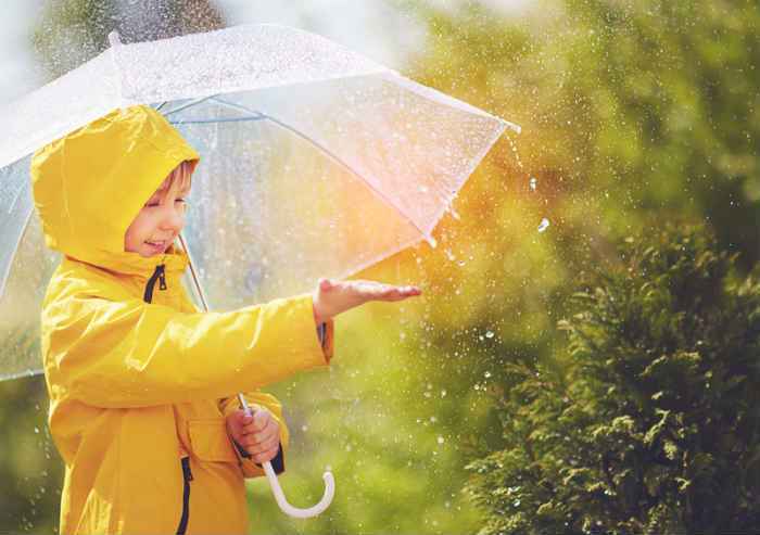 梅雨1